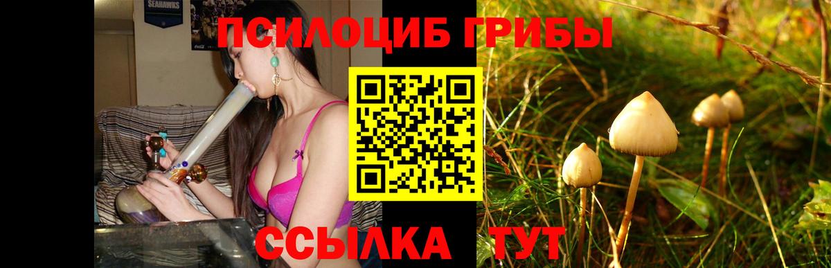 Корсаков  Галлюциногенные грибы Magic Shrooms  Вход с VPN 